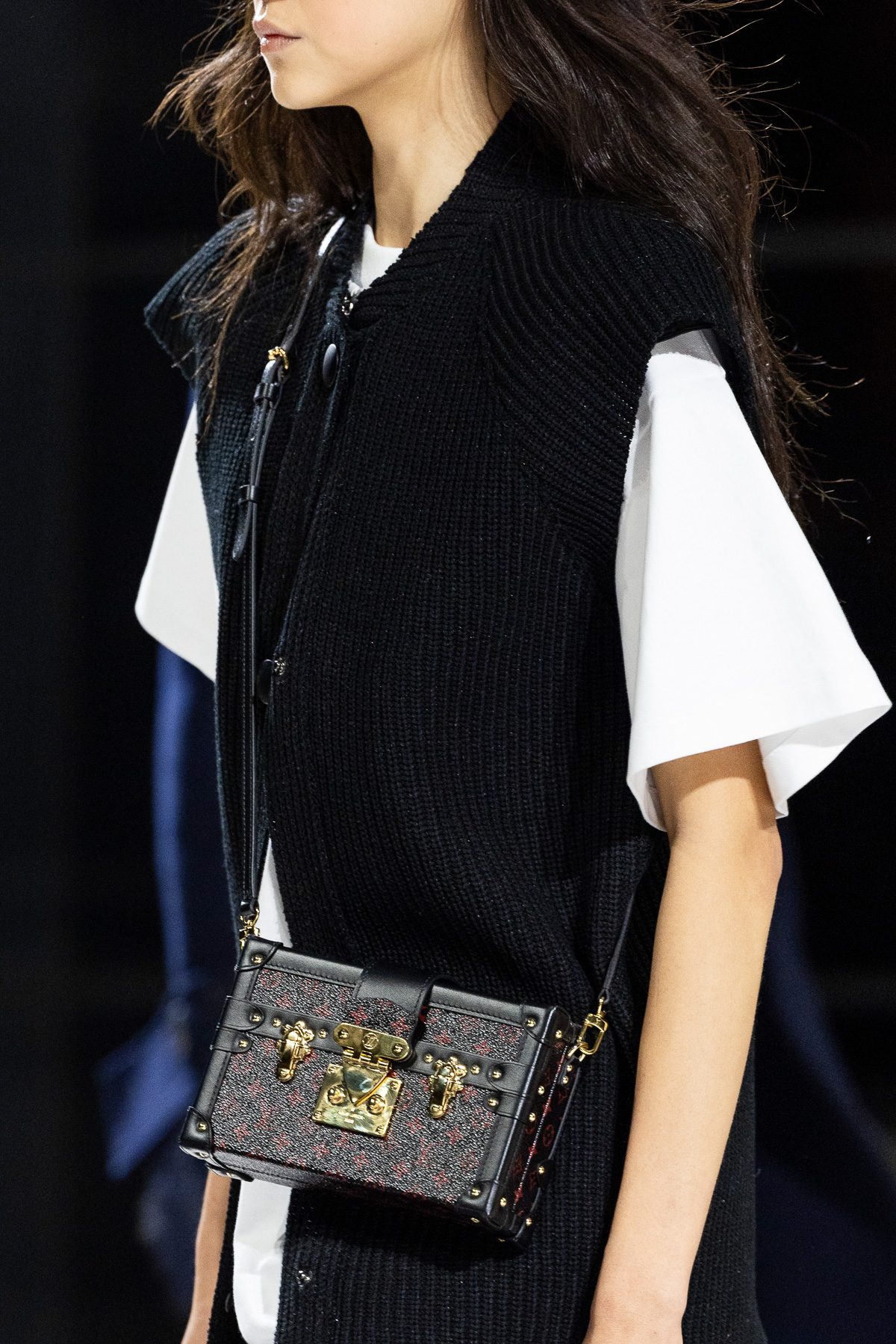 Louis Vuitton Fall 2024 Bags 23