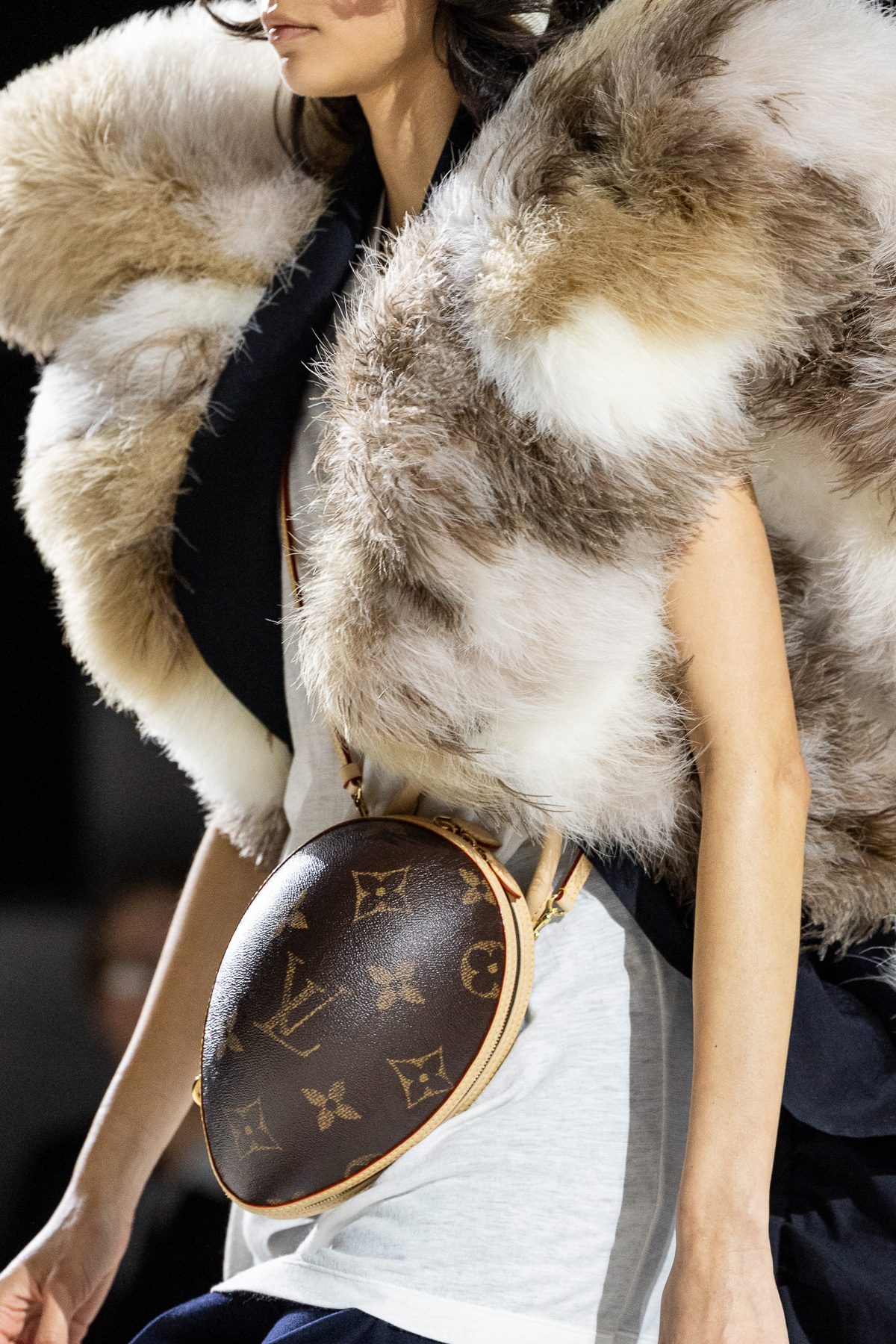 Louis Vuitton Fall 2024 Bags 24 Louis Vuitton Fall 2024 Bags 24