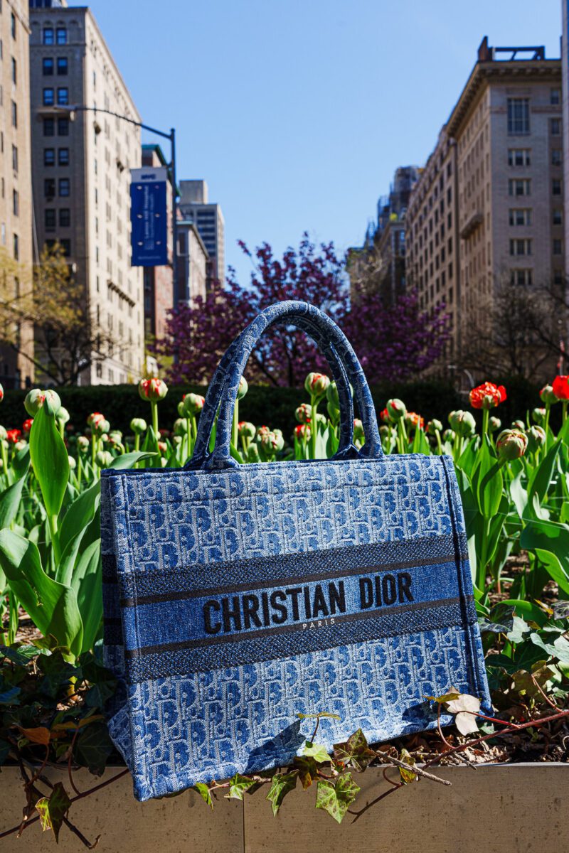 Exclusive: Around NYC with Dior Fall 2024 Bags - PurseBlog