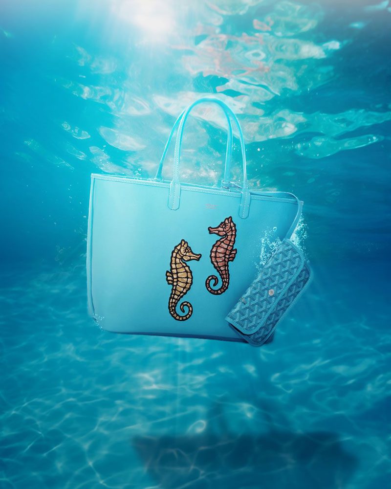 Goyard Anjou Teal