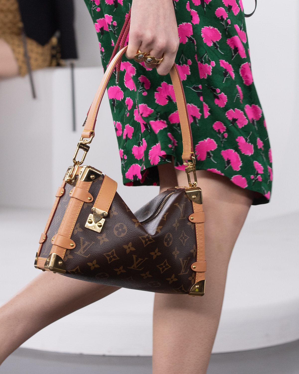 LV Pre Fall Bags 2024 5