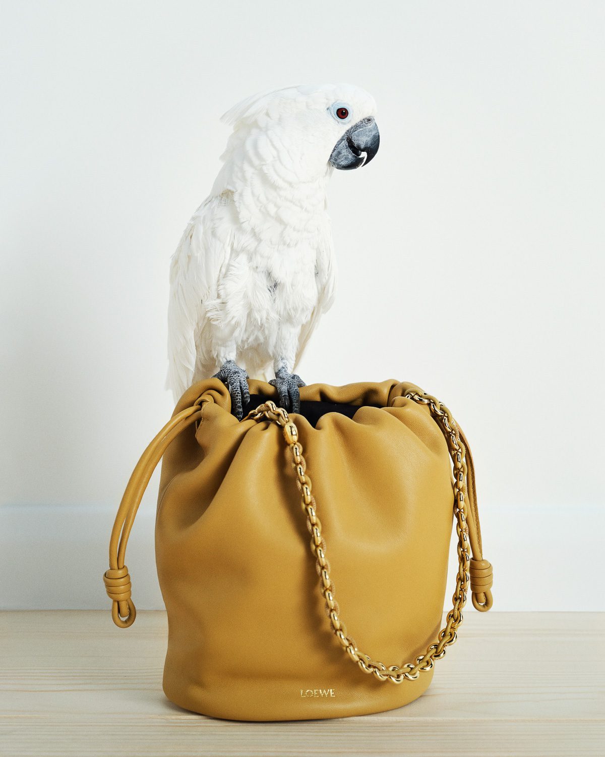 Loewe Paula s Ibiza SS 24 6