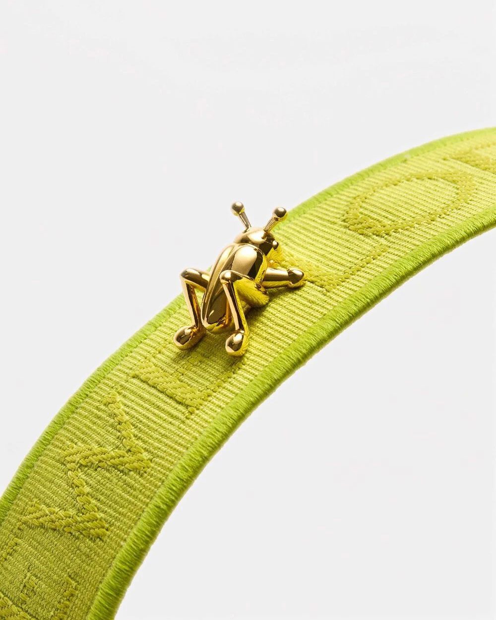 grasshopper loewe charm