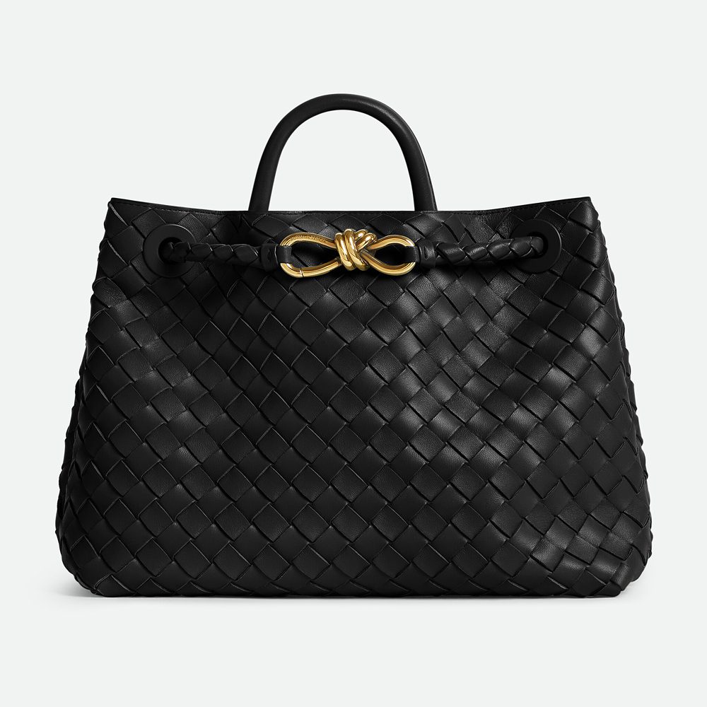 Bottega Veneta Andiamo Bag