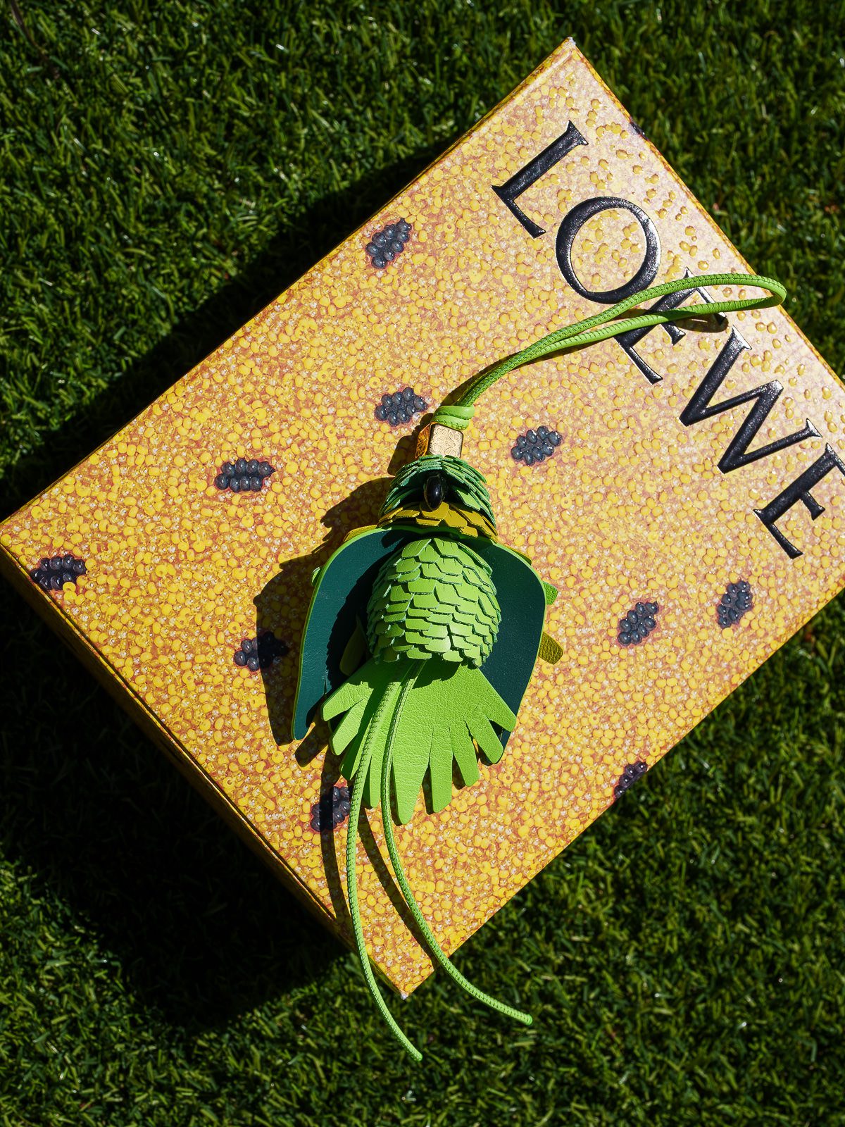 Loewe Font Bag with Charms 4 of 7