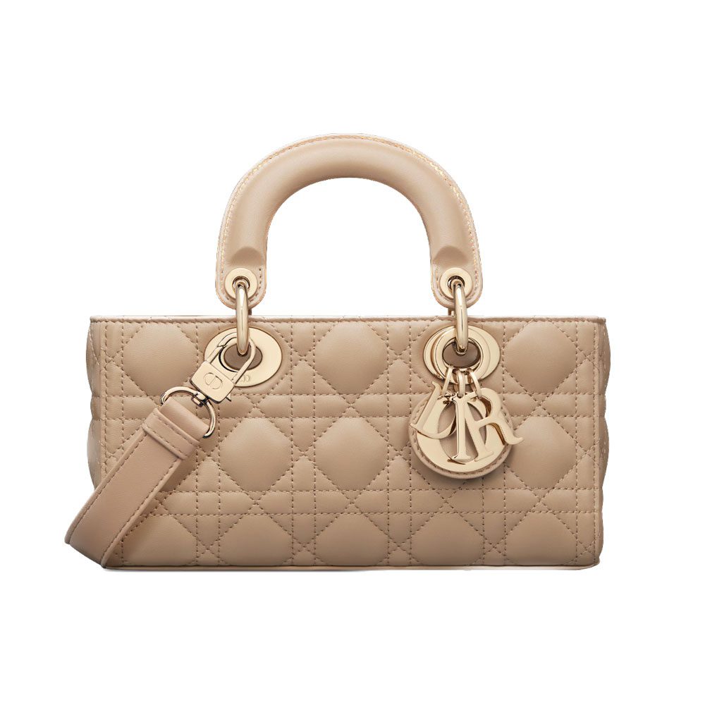 dior Small Lady D Joy Bag