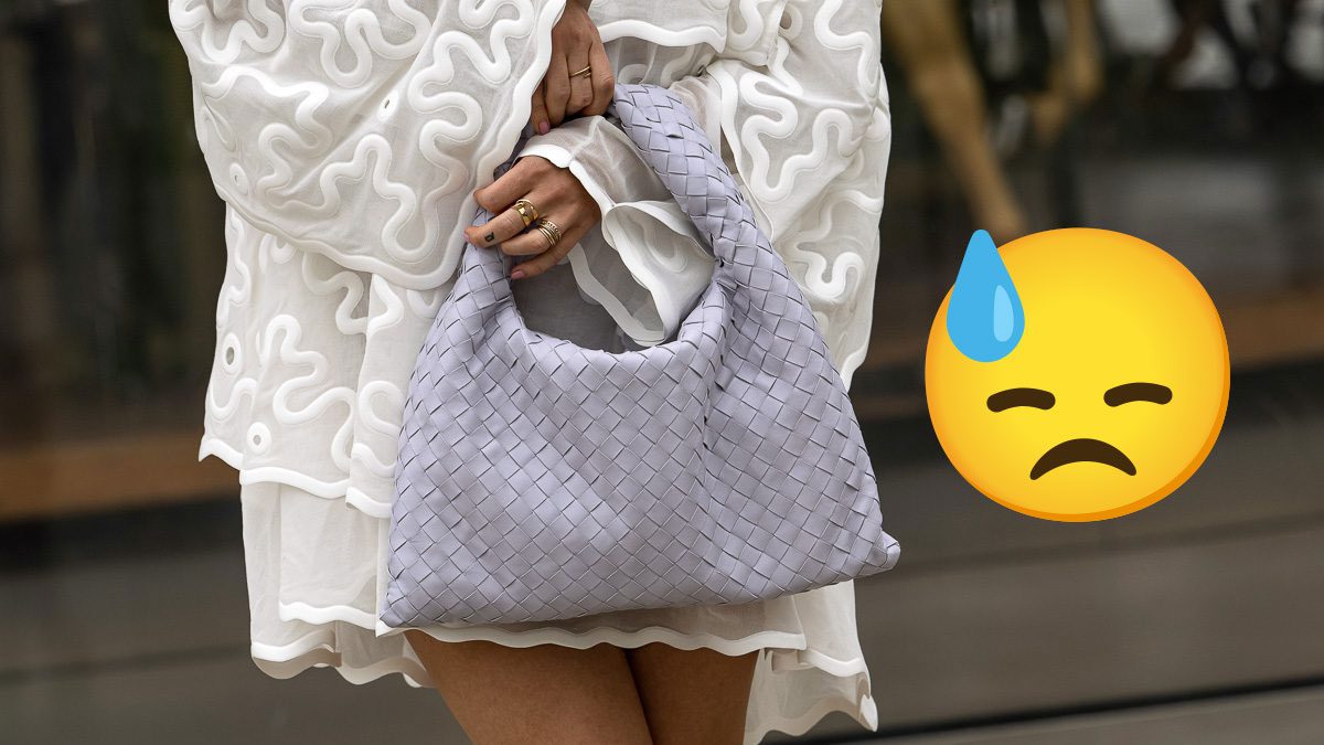 Sometimes a Bag We Love Does Not Love Us Back