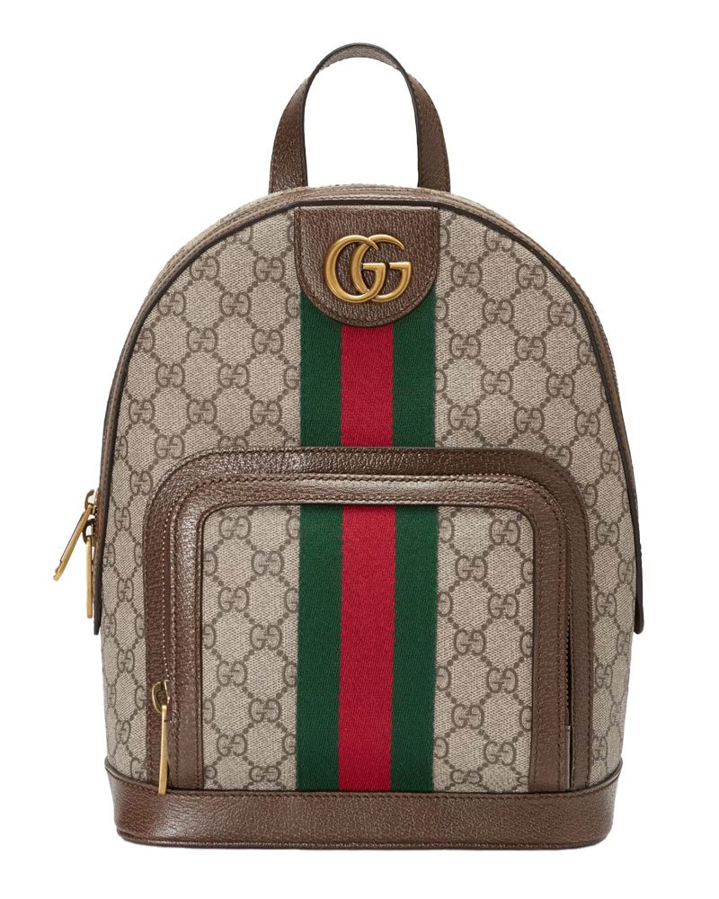 gucci OPHIDIA GG SMALL BACKPACK Large