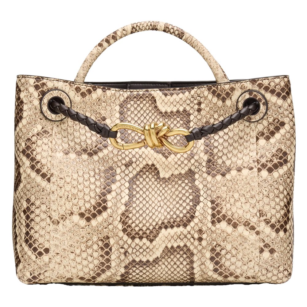 Bottega Veneta Andiamo Bag
