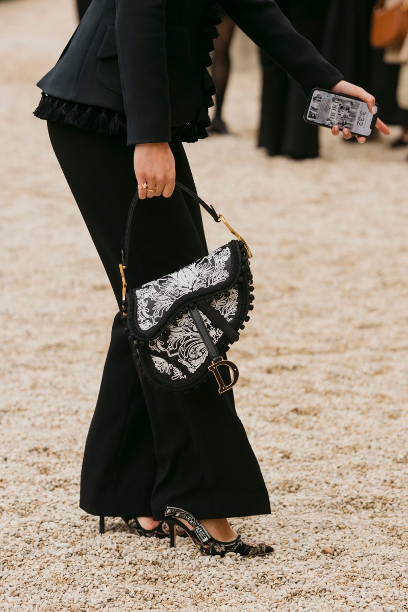 The Best Dior Bags We Spotted Outside of Its Spring 2025 Show at PFW ...