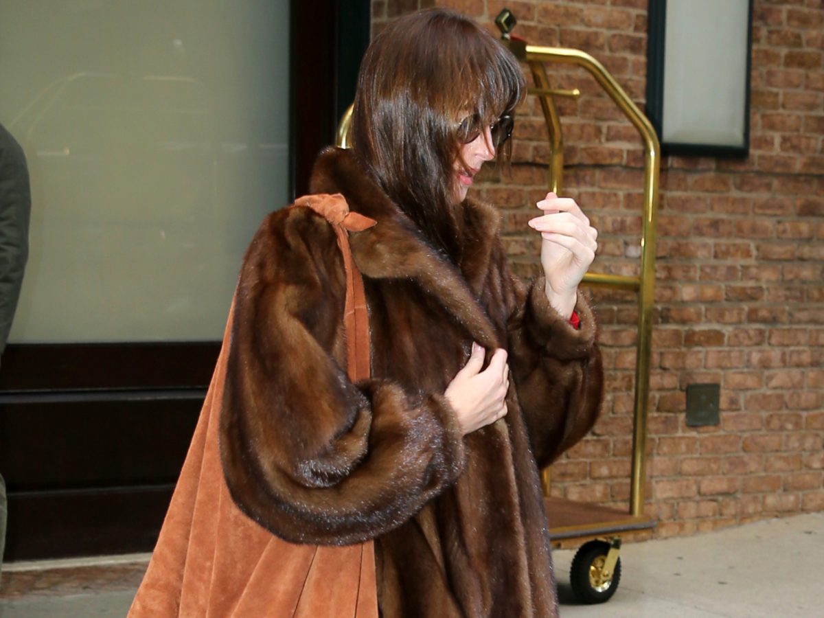 Dakota Johnson NYC The Row Bindle Bag Suede