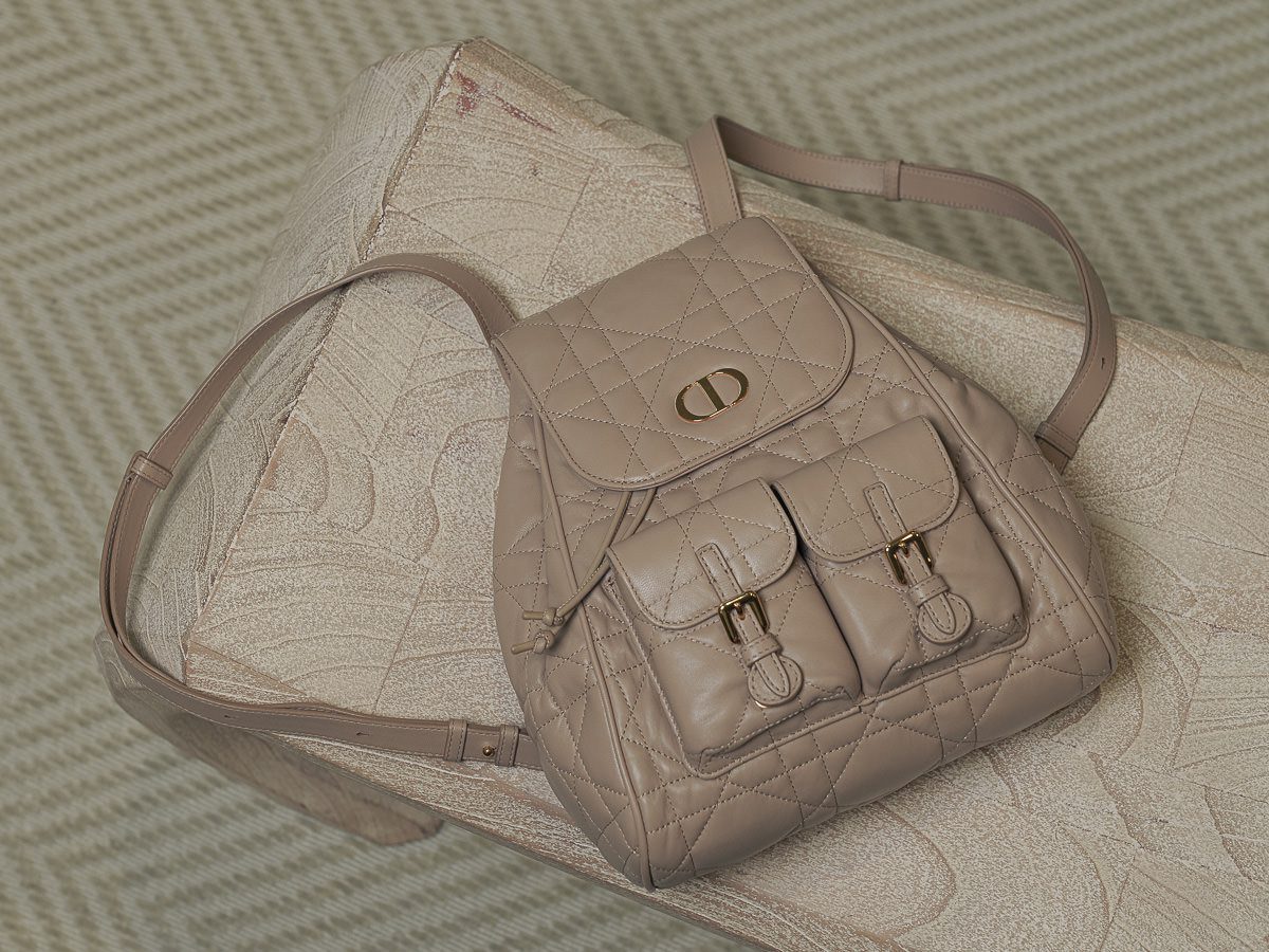 Dior Caro Backpack 5 of 7 Dior Caro Backpack 5 of 7
