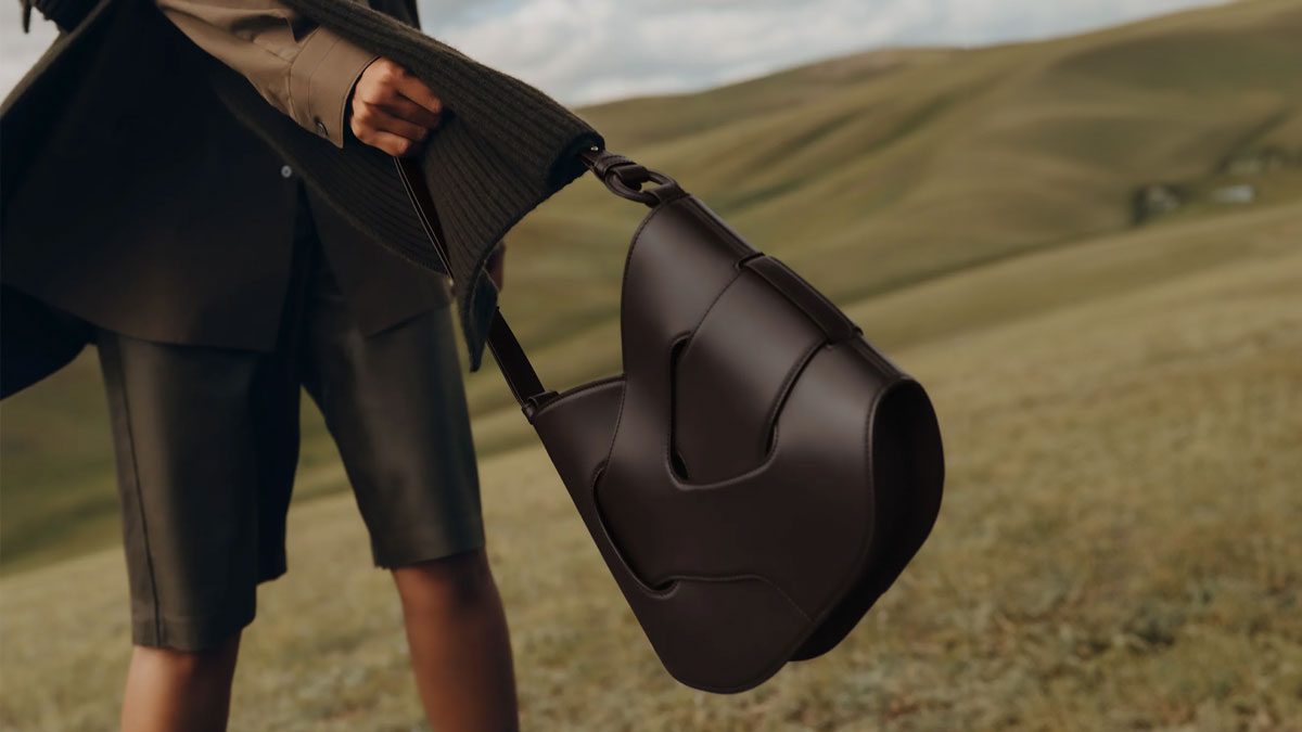 Polene Bag Features and Reviews PurseBlog