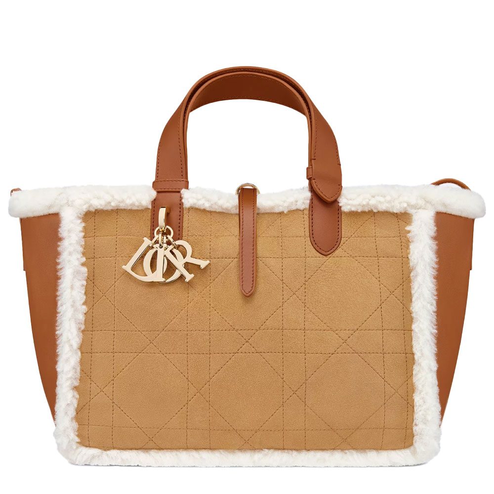 Dior Tojours Shearling Tote Bag