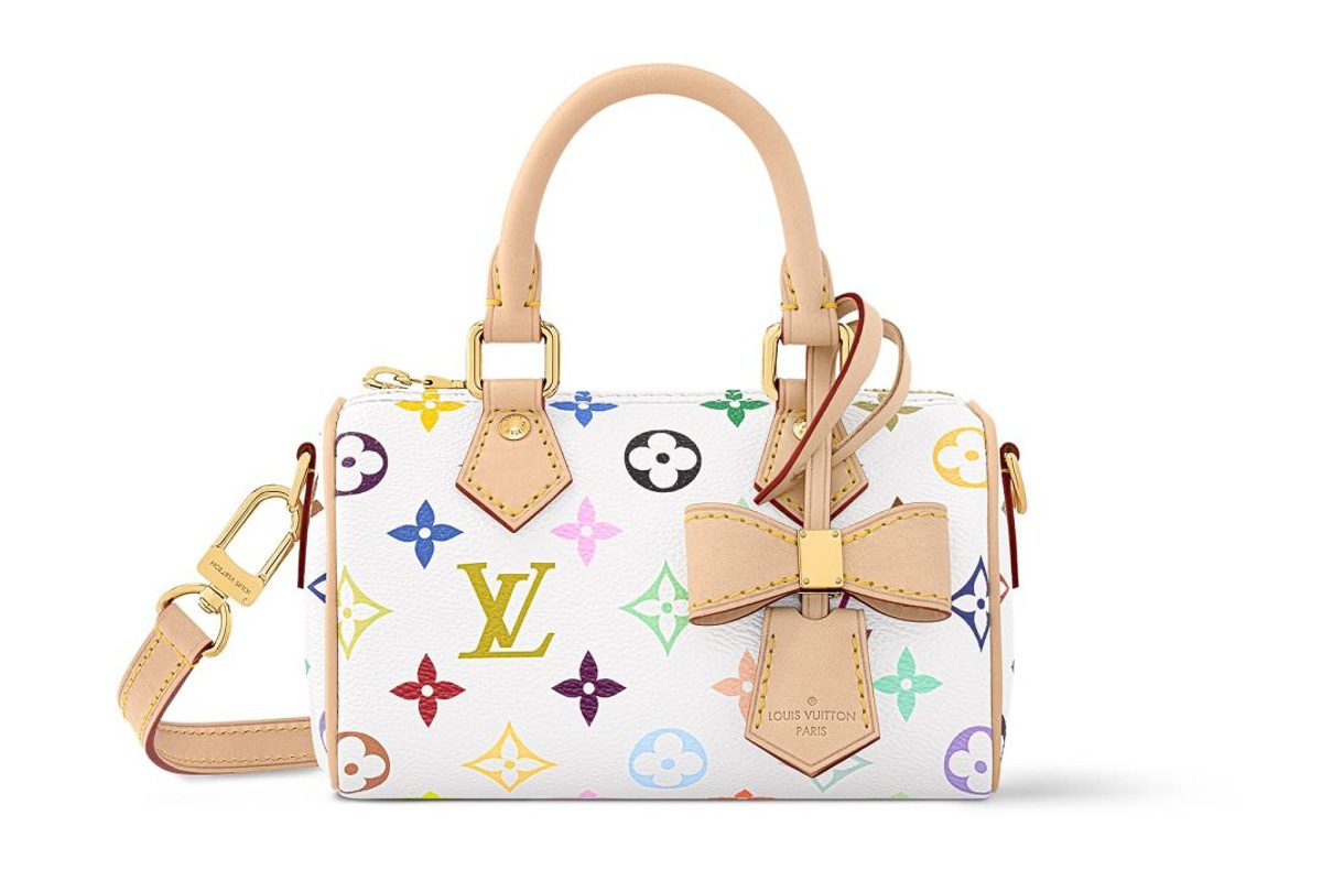 Louis vuitton speedy murakami hotsell