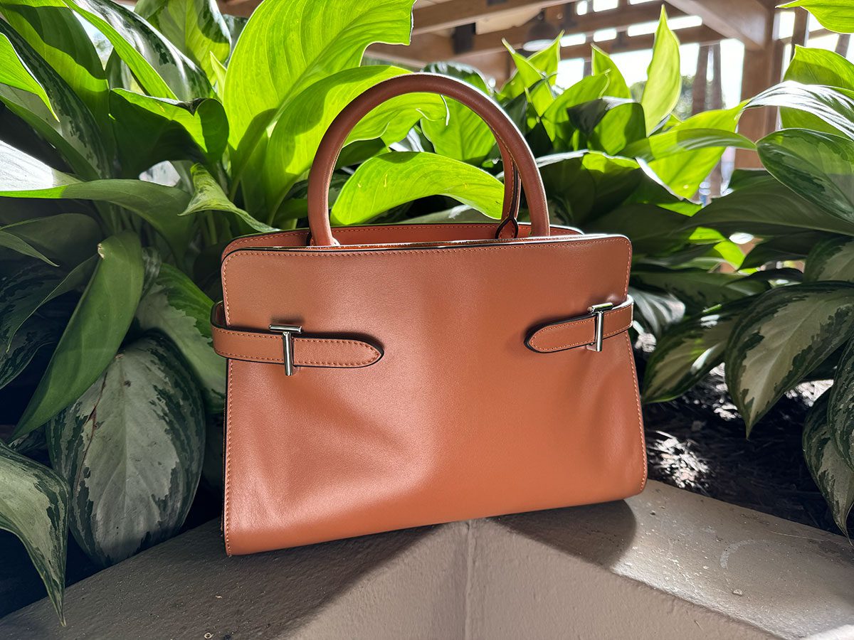 The Le Tanneur Emie Bag