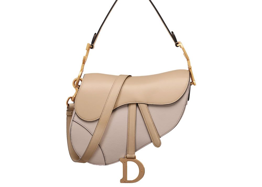 Dior Saddle Bag