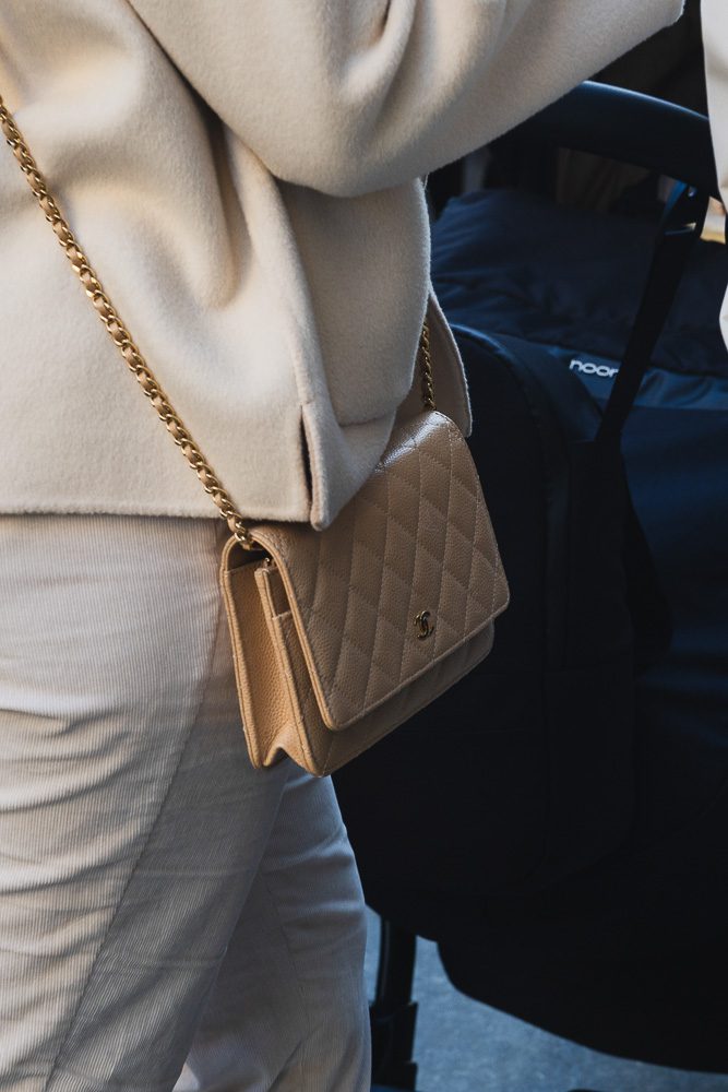 More December Bags in the Wild 12