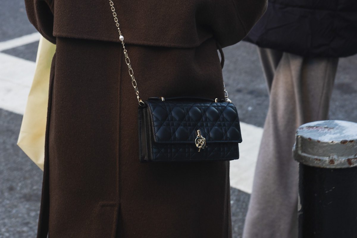 More December Bags in the Wild 14 More December Bags in the Wild 14