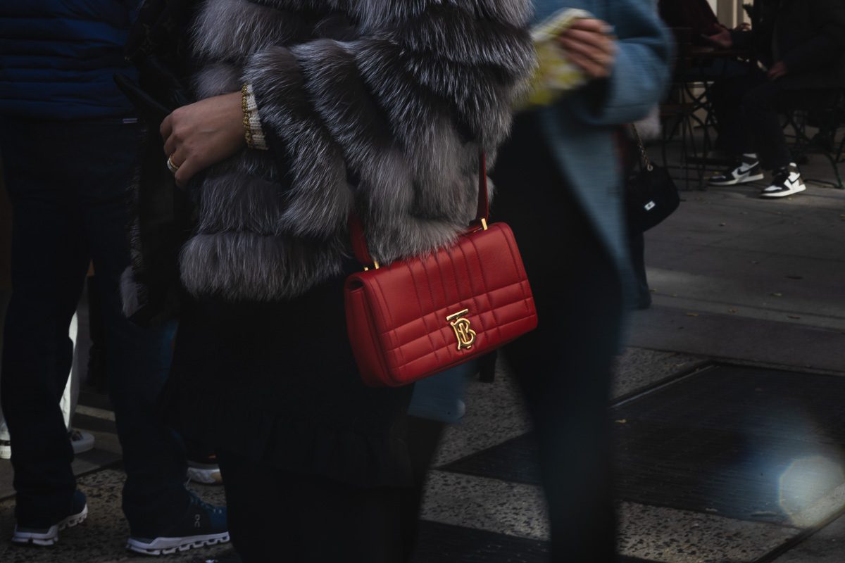 More December Bags in the Wild 6 More December Bags in the Wild 6