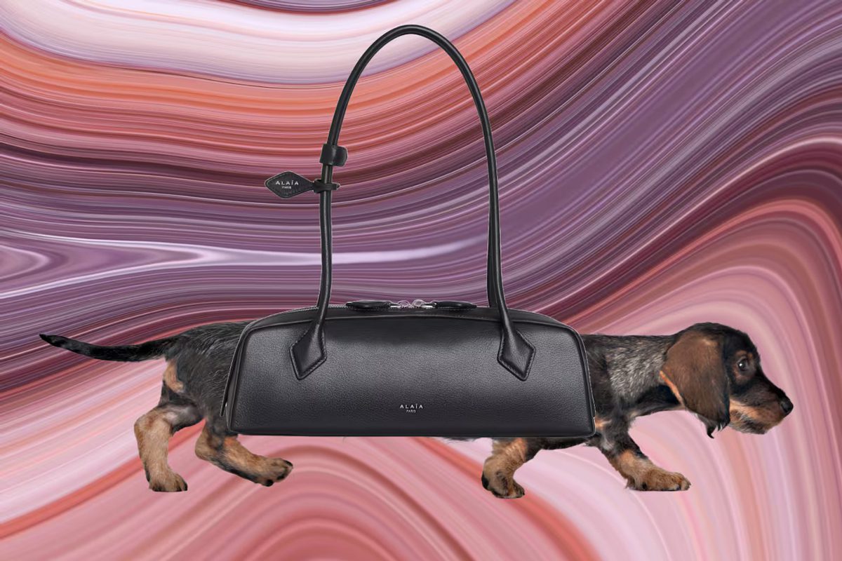【関税込み】ALAIA ブラウン＆ブラック 'Le Teckel' バッグ Alaïa Le Teckel Bag Review | Glam & Glitter