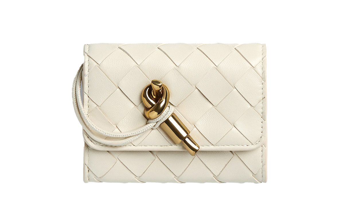 bottega veneta Andiamo Small Envelope