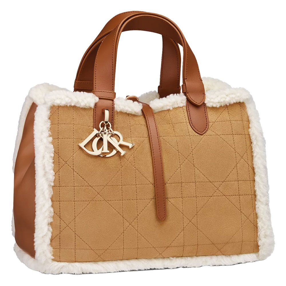 Dior Tojours Shearling Bag