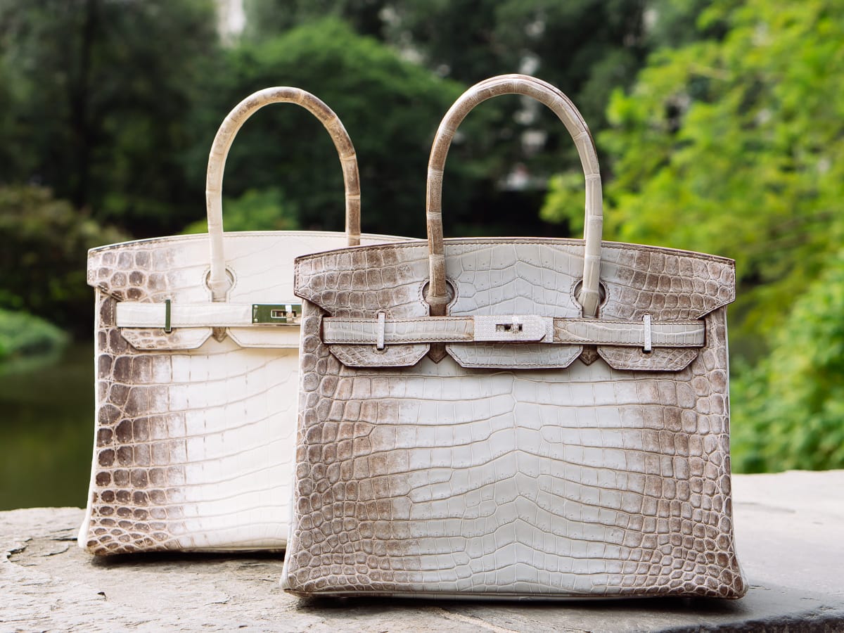 Hermes Himalayan Birkin and Diamond Encrusted Himalayan Birkin