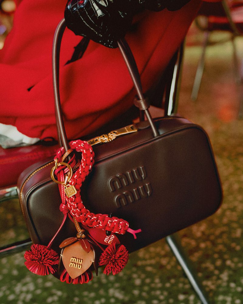 Miu Miu Lunar New Year Capsule Collection 19