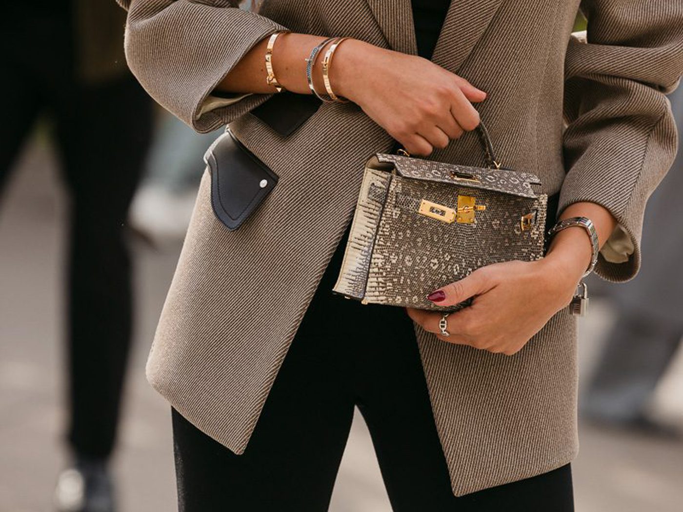 Hermes Ombre LIZARD MINI KELLY