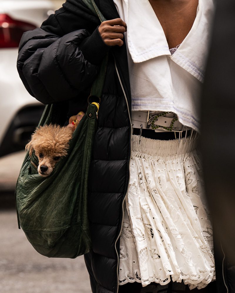 The Best Bags of NYFW Part II 13