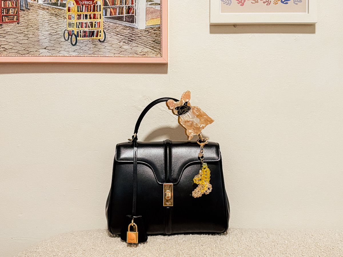 Hair Clip Bag Accessories