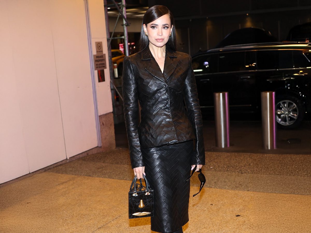 Schiaparelli Anatomy Bag
