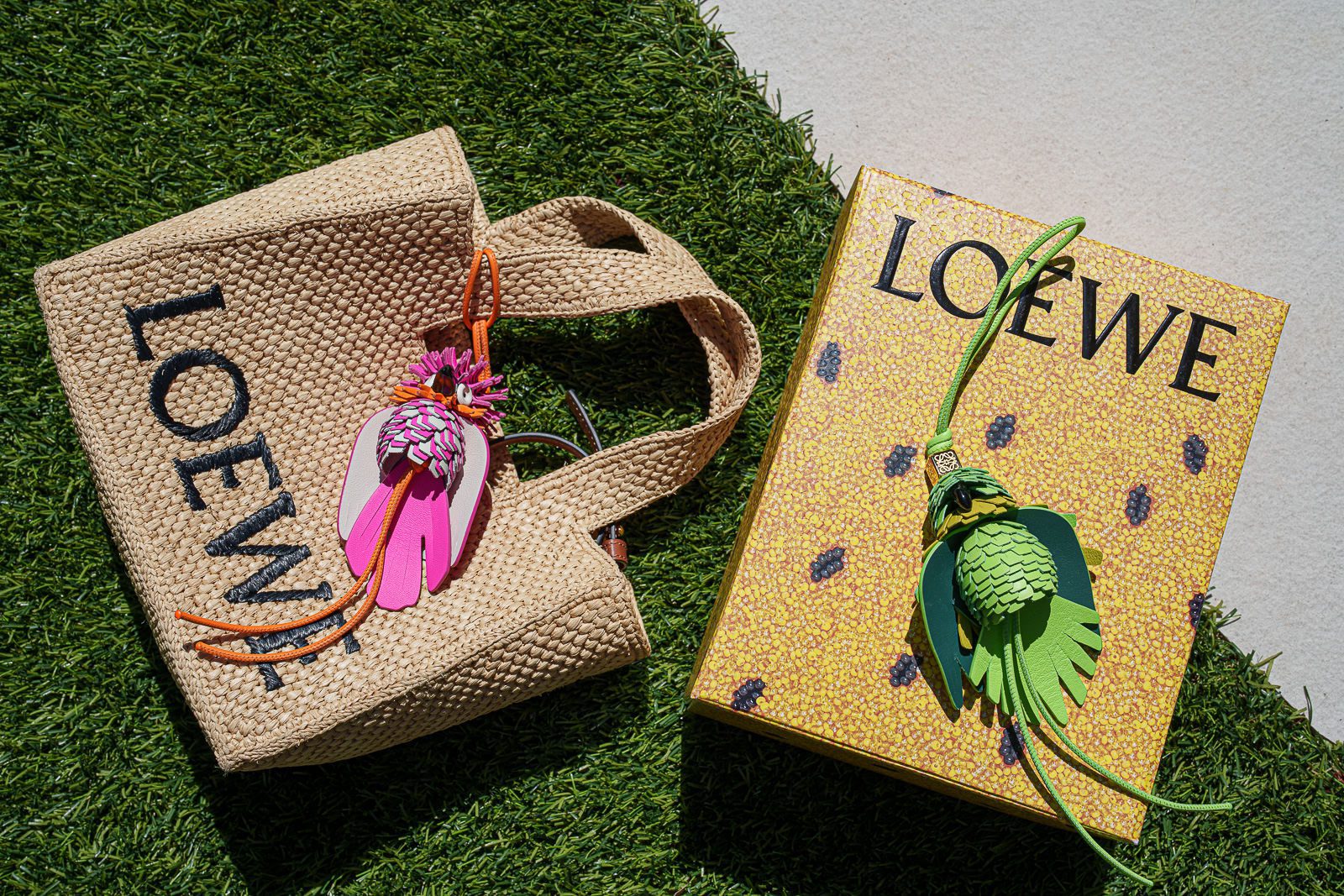 Loewe Font Bag with Charms 3 of 7