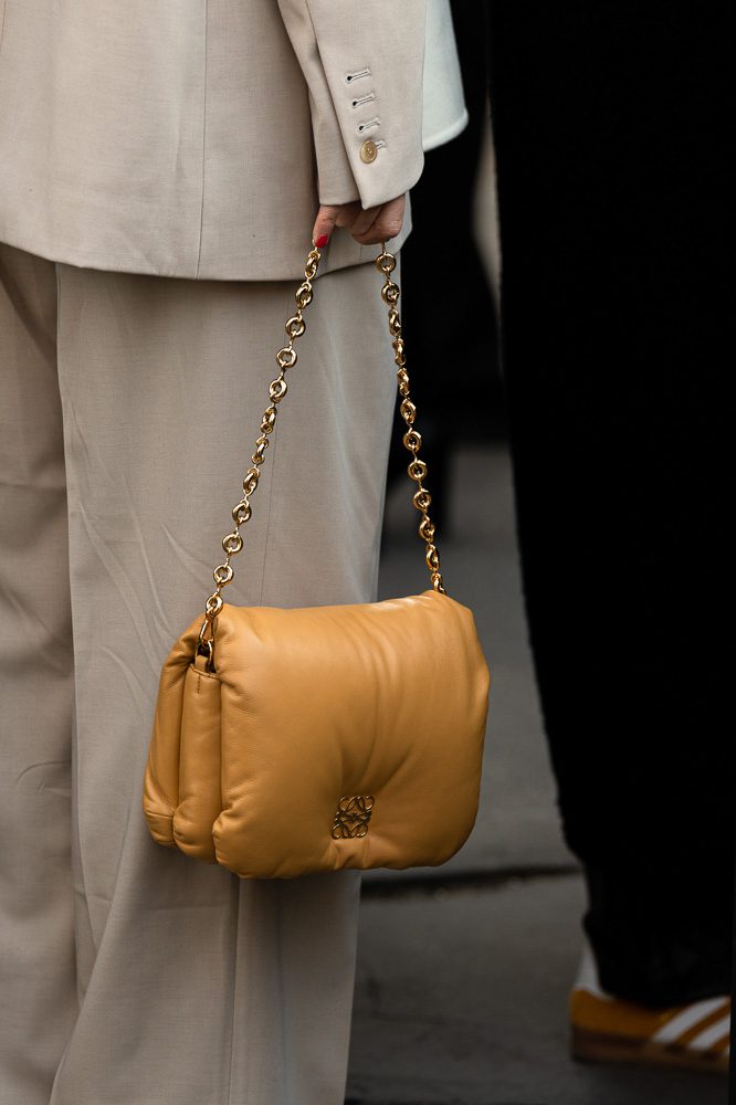 Loewe Puffer Goya Bag 1 Loewe Puffer Goya Bag 1