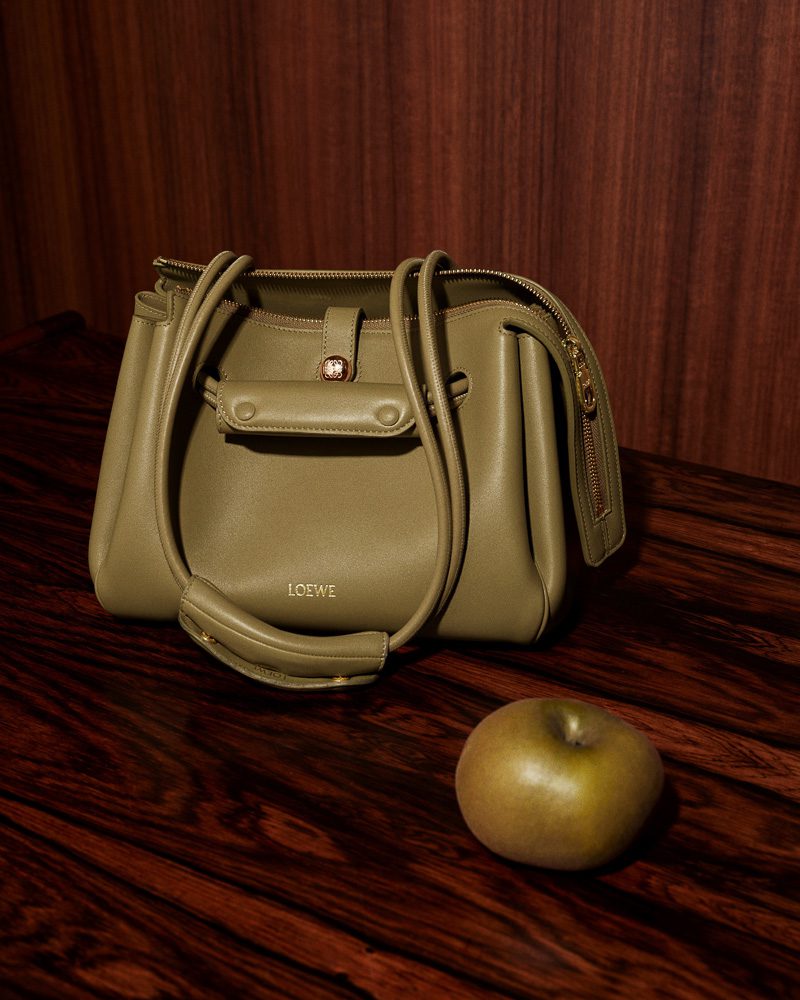 Loewe Pre Fall 2025 Bags 13