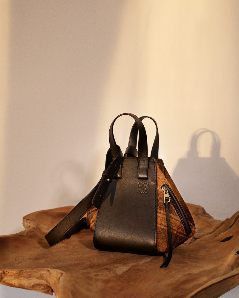 Loewe Pre Fall 2025 Bags 15