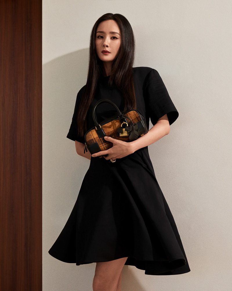 Loewe Pre Fall 2025 Bags 26