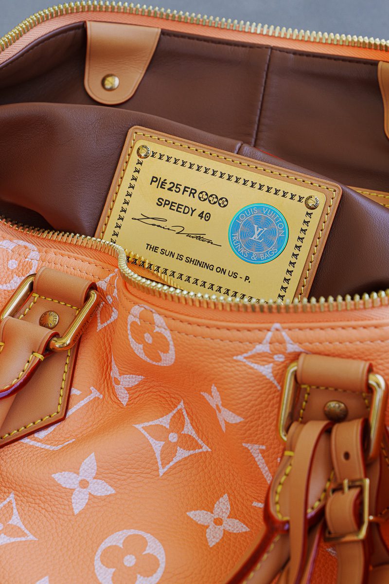 Louis Vuitton Speedy P9 Bandoulie?re interior pouches Louis Vuitton Speedy P9 Bandoulie?re interior pouches