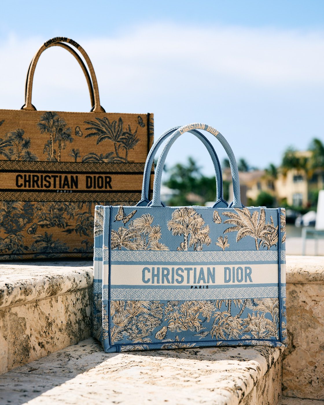 Dior Riviera Collection Book Totes