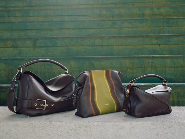 Loewe Pre Fall Bags 2025