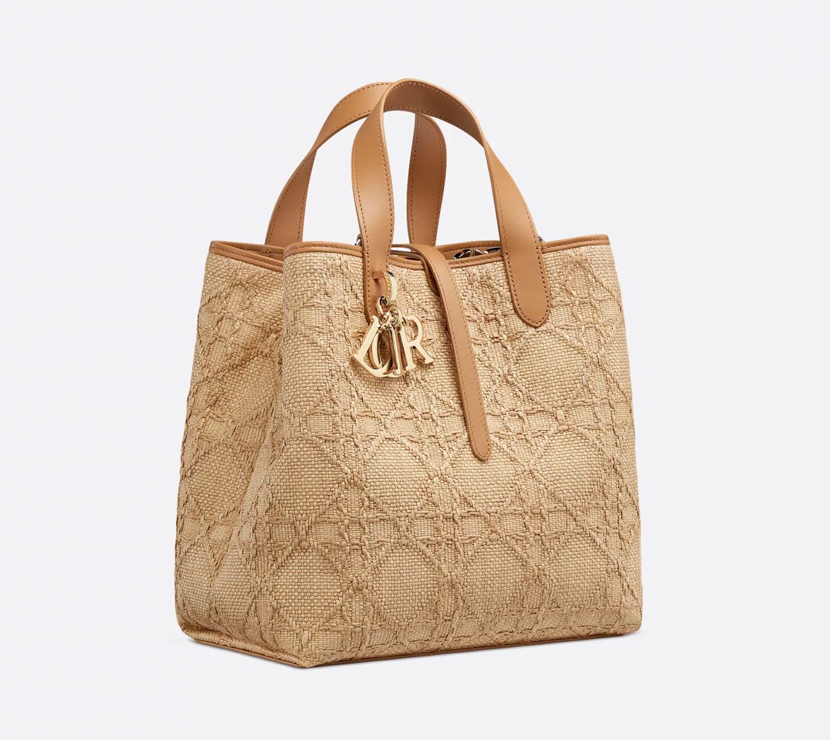 Medium Dior Toujours Vertical Tote Bag Medium Dior Toujours Vertical Tote Bag
