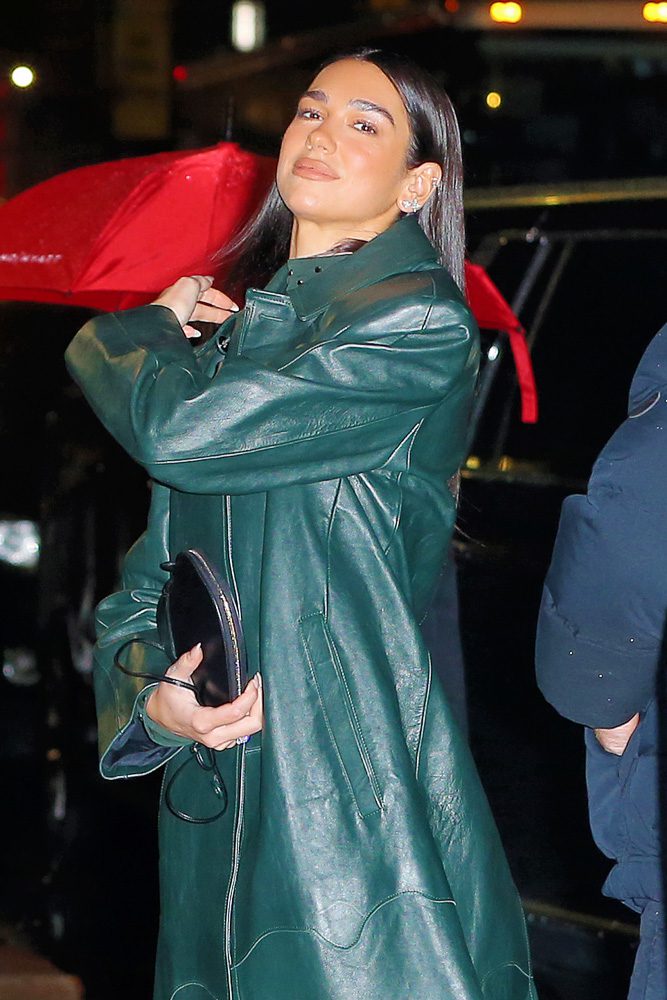 The Many Bags of Dua Lipa Part II 13