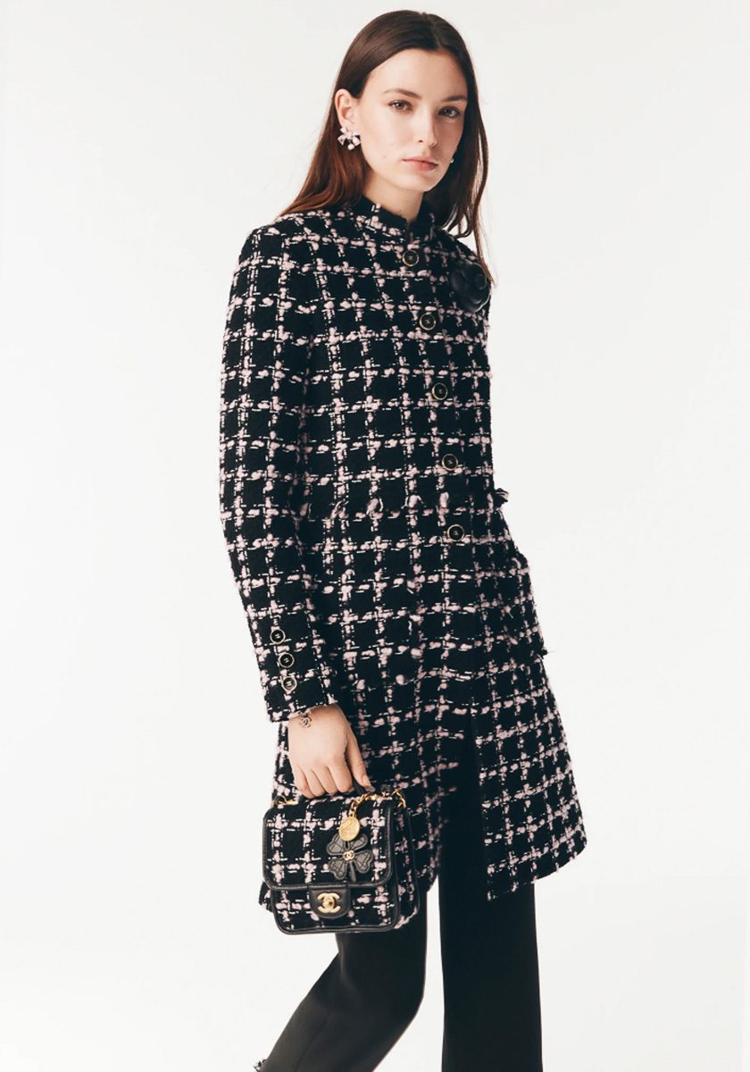 Chanel Pre Collection Fall Winter 2025 Bags 2