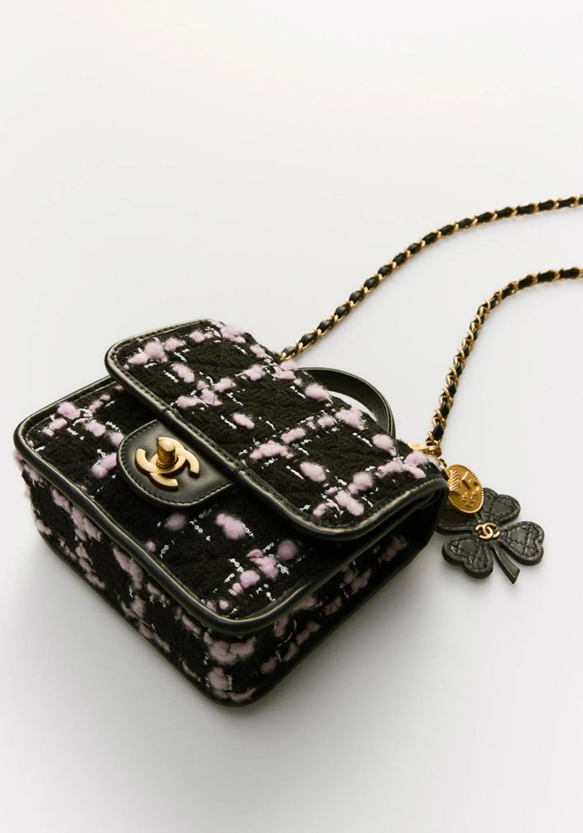 Chanel Pre Collection Fall Winter 2025 Bags 3