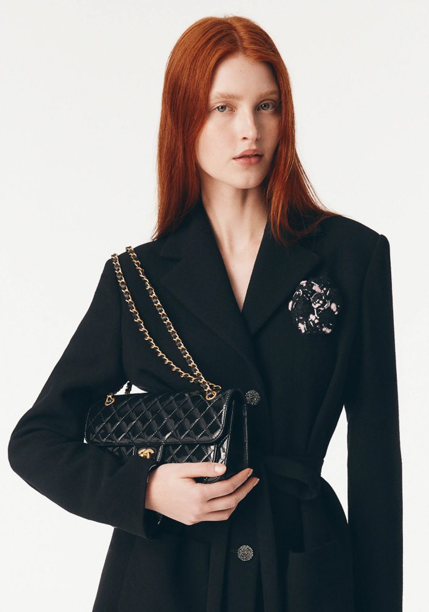 Chanel Pre Collection Fall Winter 2025 Bags 6