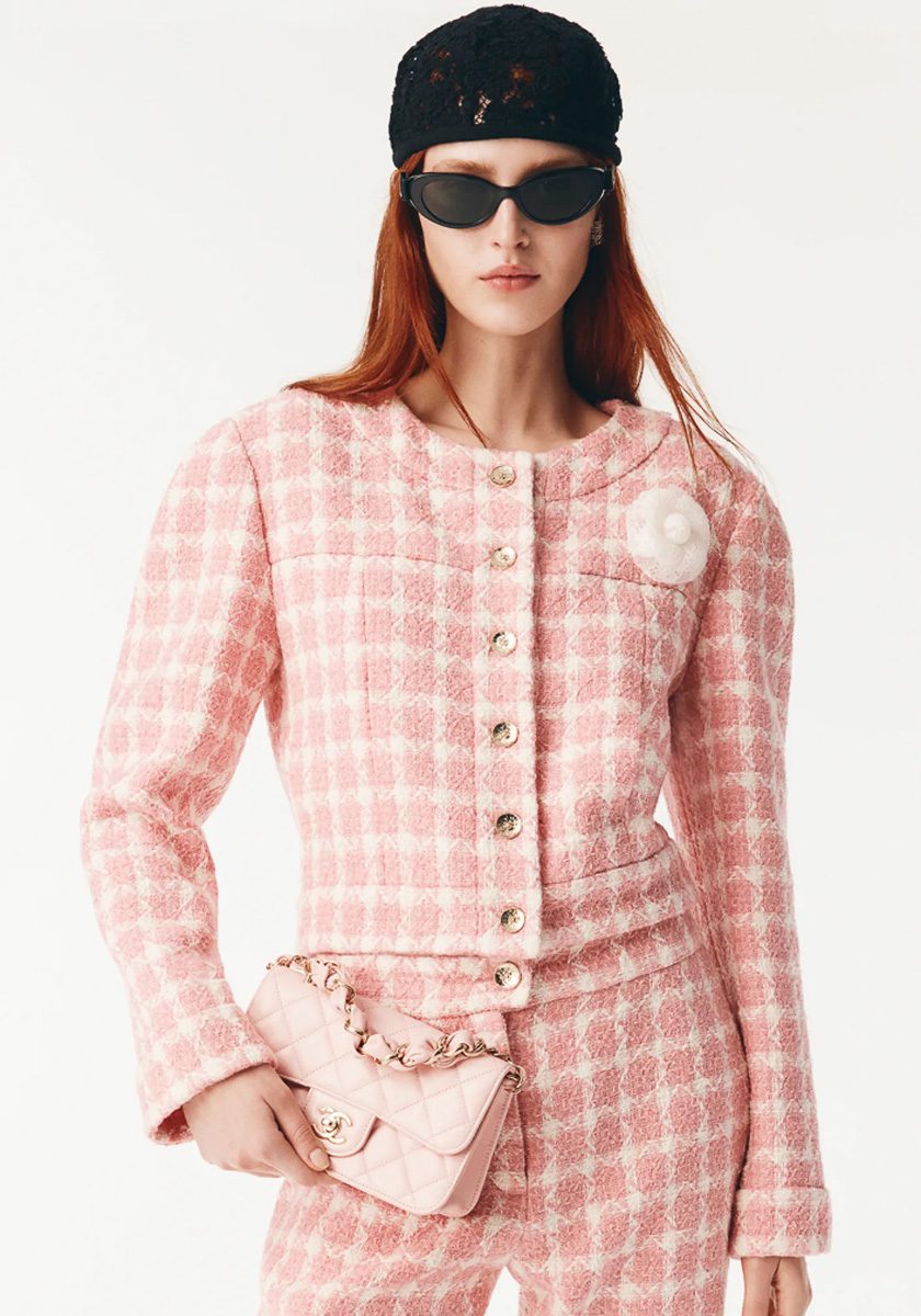 Chanel Pre Collection Fall Winter 2025 Bags 7