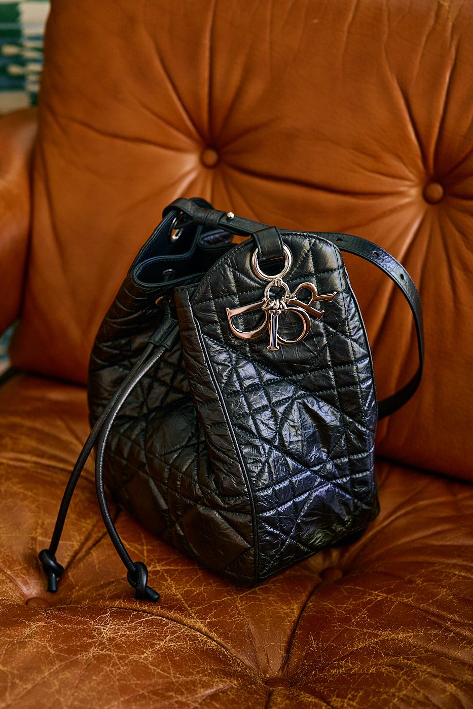 Dior Introduces the D-Motion: A Bucket Bag for the Modern
