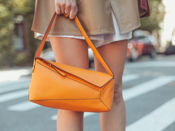 Loewe Puzzle Hobo Bag