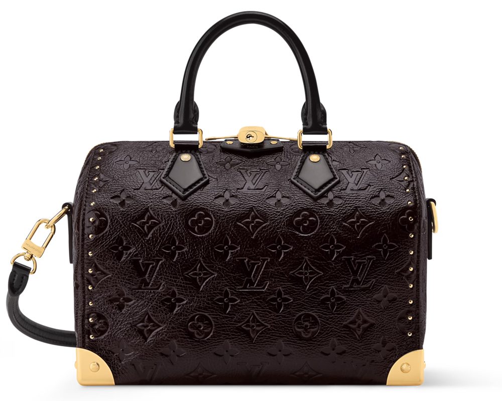 Louis Vuitton Speedy Trunk 25 Louis Vuitton Speedy Trunk 25